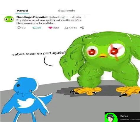 Top memes de Duolingo en español :) Memedroid.